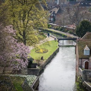 An areal photo of the River Stour in spring