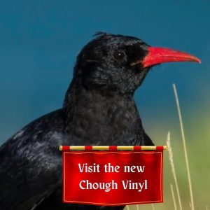 'Visit the new Chough Vinyl' below an image of a corvid